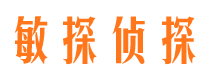 汉台市私家侦探